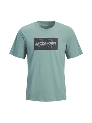T-Shirt Vert Garçon Jack & Jones Cole 1