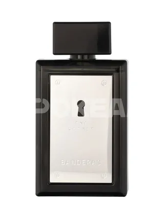 A. Banderas The Secret Edt Spray 100ml 2