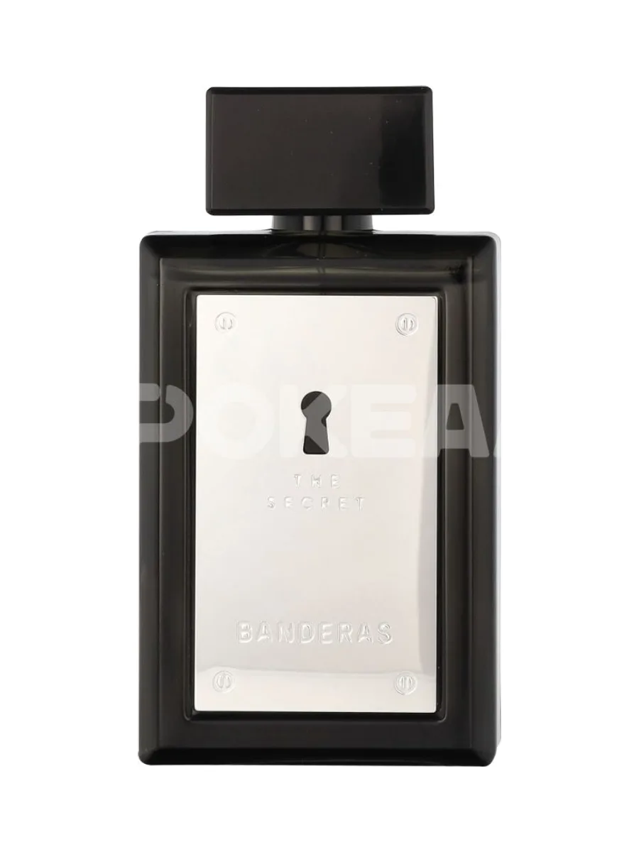 A. Banderas The Secret Edt Spray 100ml 2