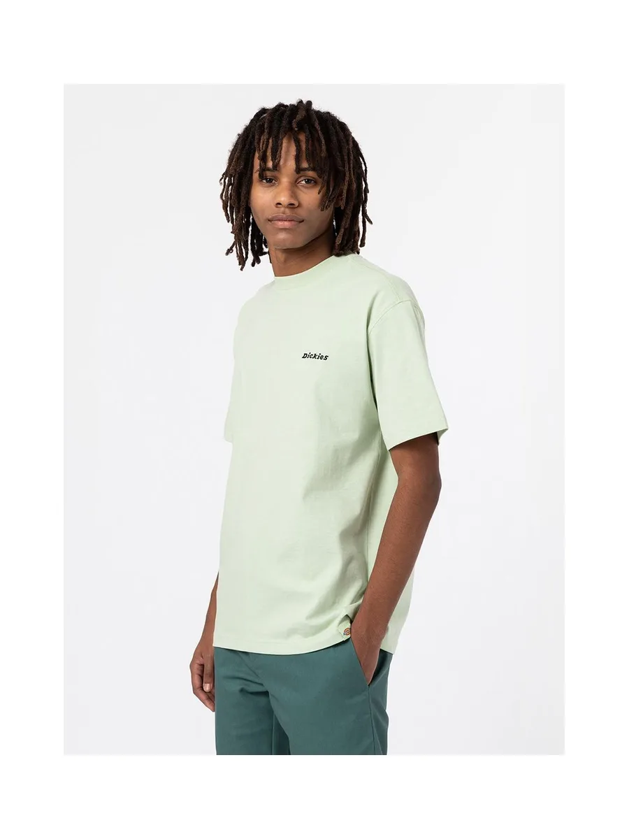 T-shirt DICKIES DK0A4X9O 10