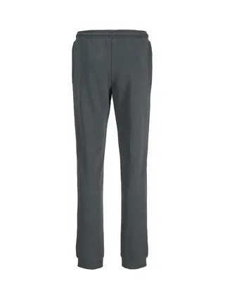 Jogging Gris Foncé Garçon Jack & Jones Jwhvesterbro 2