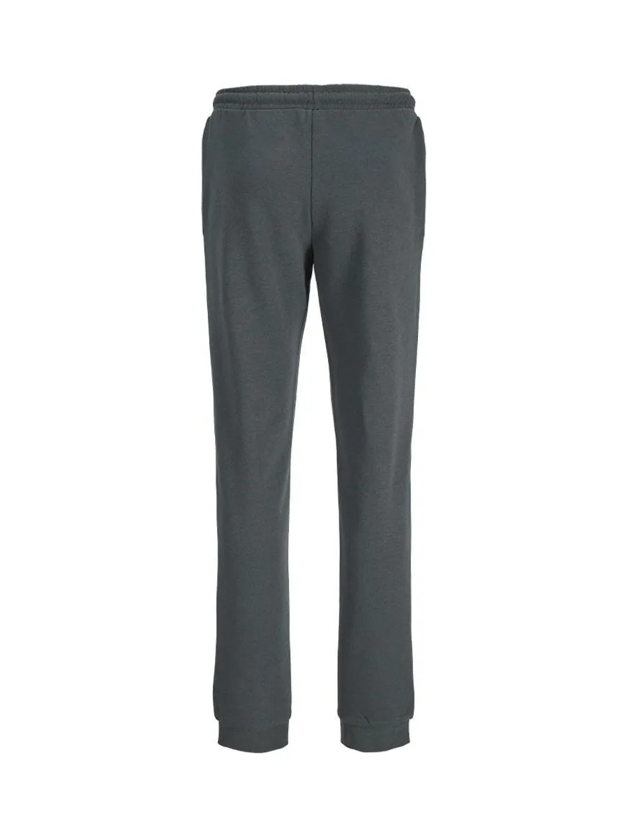 Jogging Gris Foncé Garçon Jack & Jones Jwhvesterbro 3