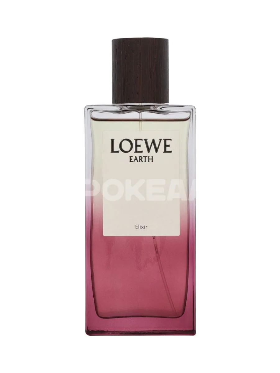 Loewe Earth Elixir Edp Spray 100ml 2
