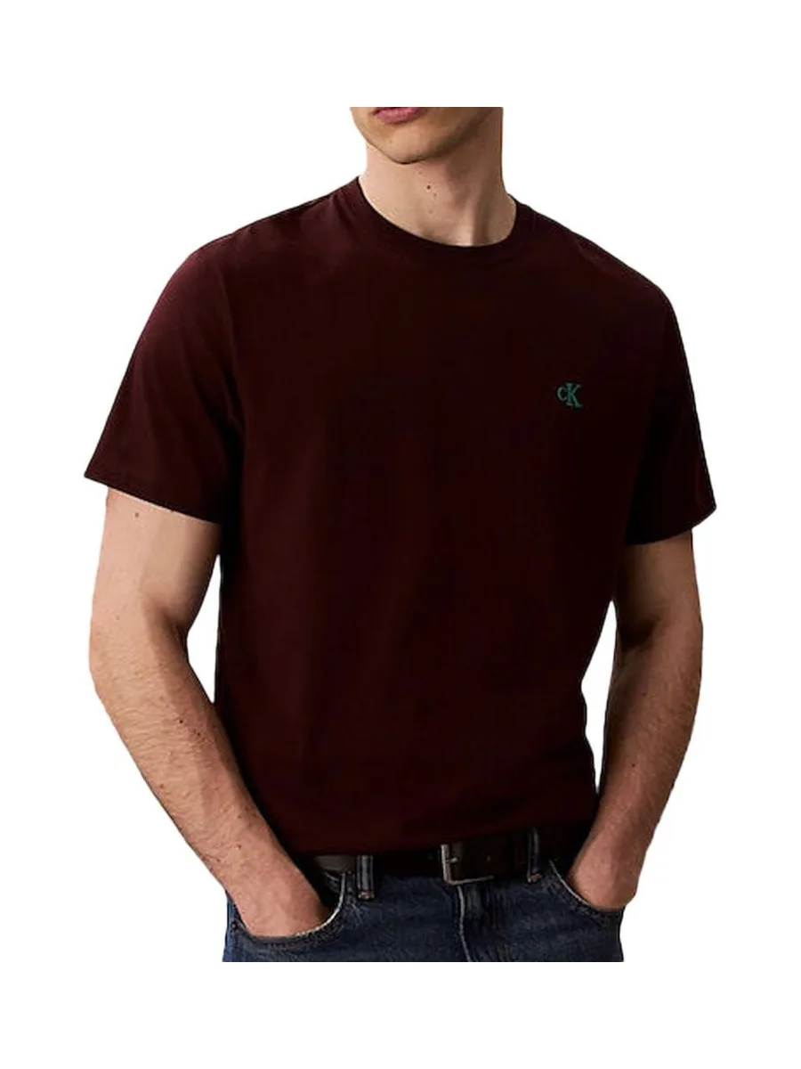 T-Shirt Marron Homme Calvin Klein Jeans Easy LV04RC275G 2