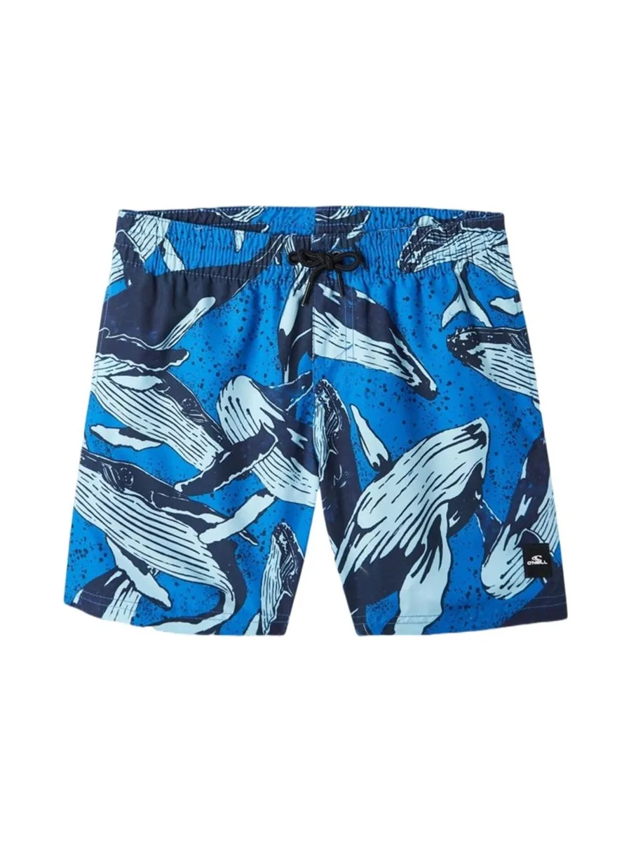 Maillot de bain Bleu Garçon O'Neill Cali 2