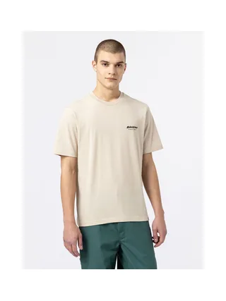 T-shirt DICKIES DK0A4XNY 2