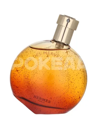 Hermes L'Ambre Des Merveilles Edp Spray 50ml 2