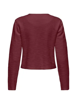Blazer Bordeaux Femme JDY Ally 2