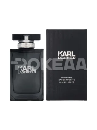 Karl Lagerfeld Pour Homme Edt Spray 100ml 1