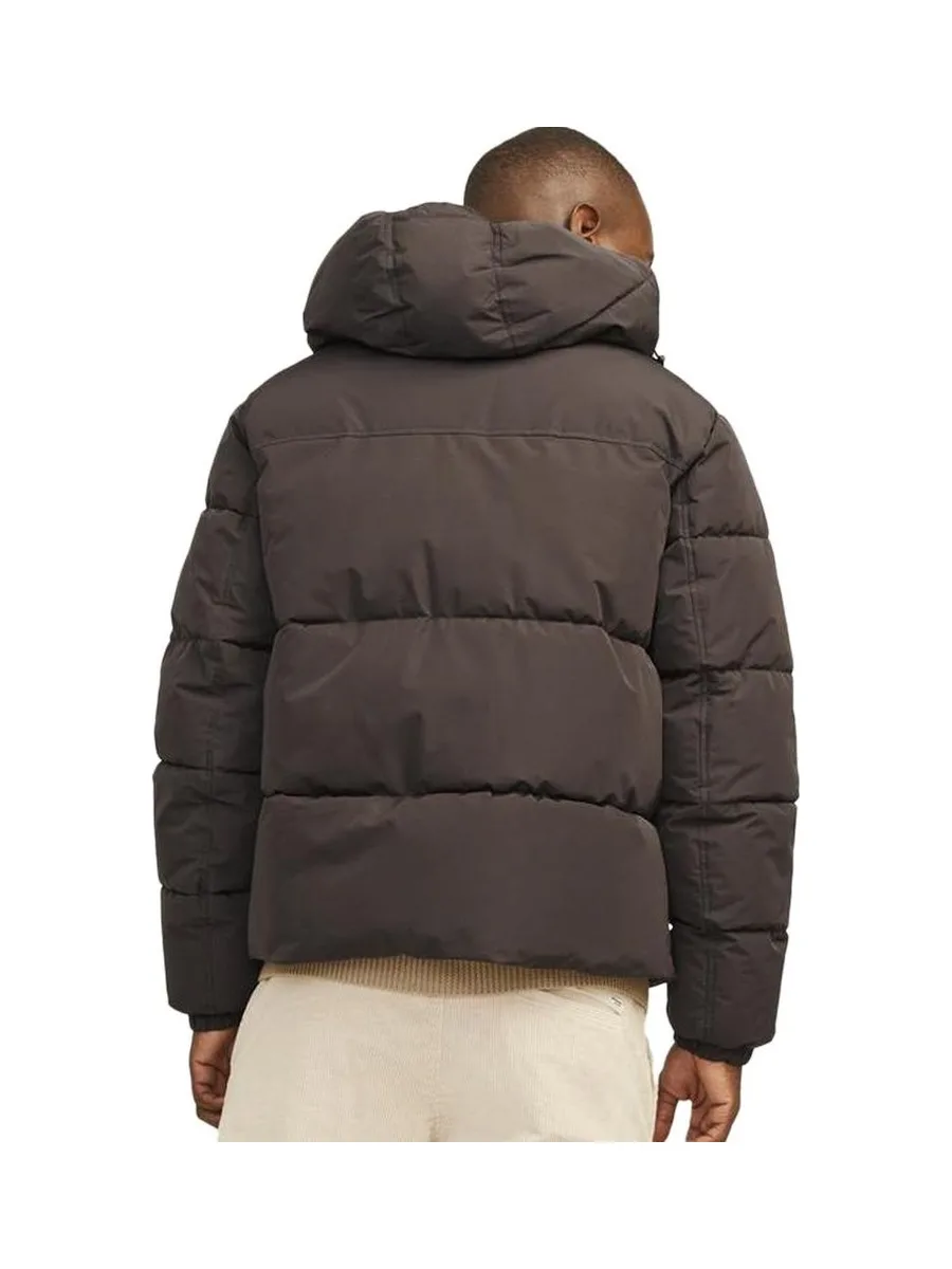 Doudoune Marron Homme Jack & Jones Bradley 2