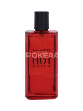Davidoff Hot Water Edt Spray 110ml 2