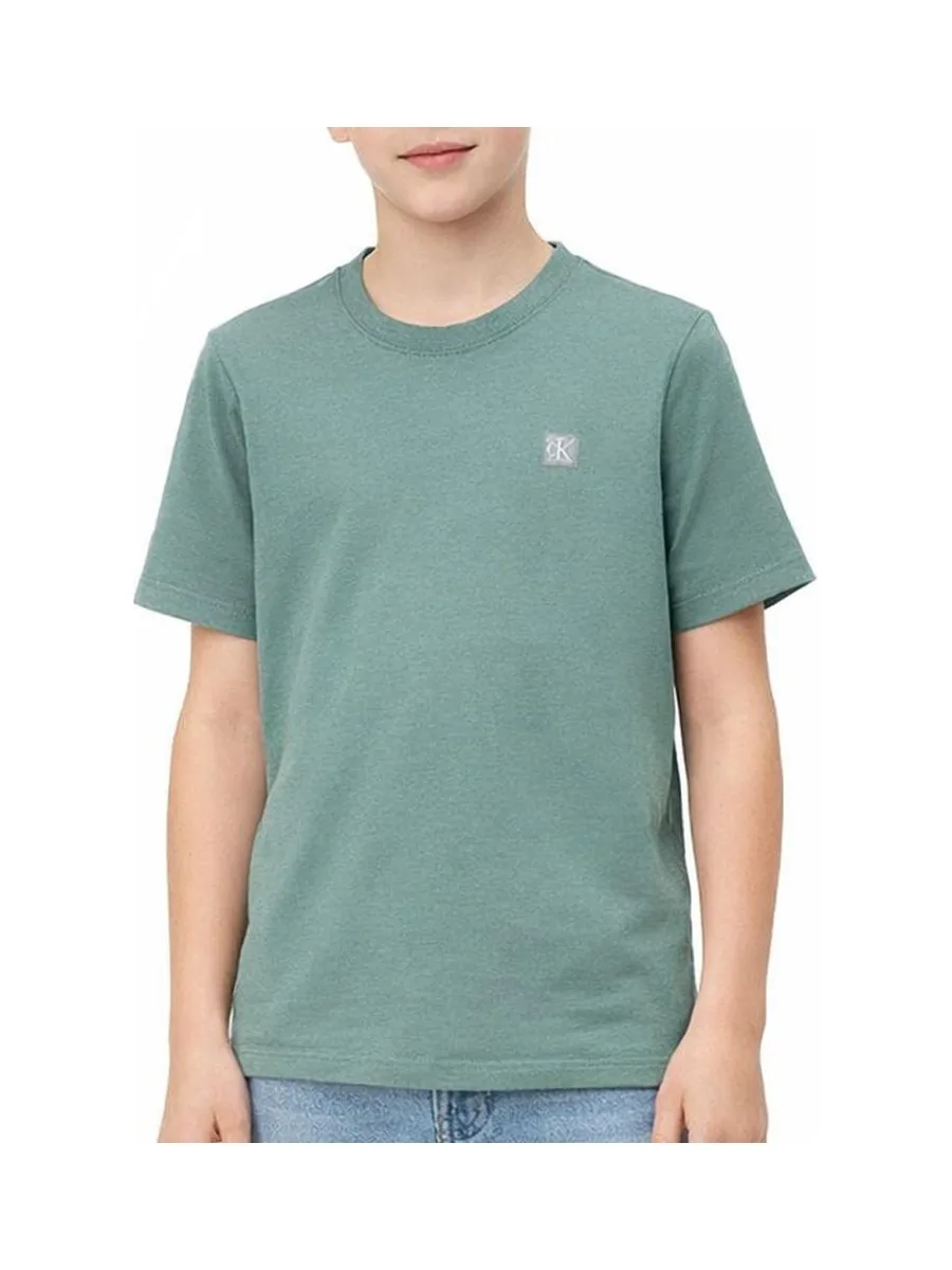 T-shirt Vert Garçon Calvin Klein Jeans IU0IU00543 1