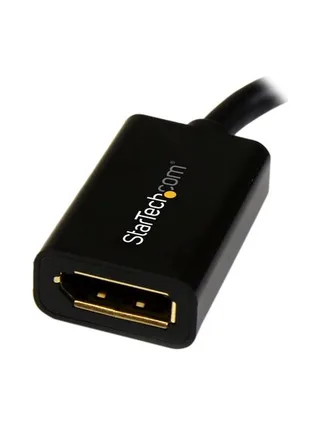 Mini DisplayPort to DisplayPort Adapter 2