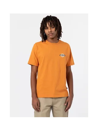 T-shirt DICKIES DK0A4XDC 7