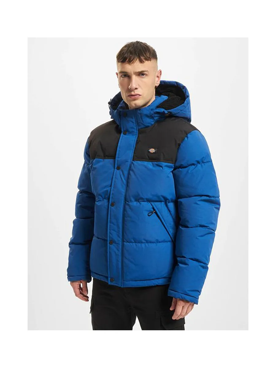 Manteau DICKIES Glacier View 2