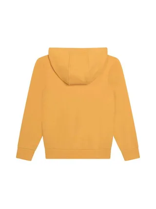 Sweat à Capuche Jaune Garçon Timberland T60077 2