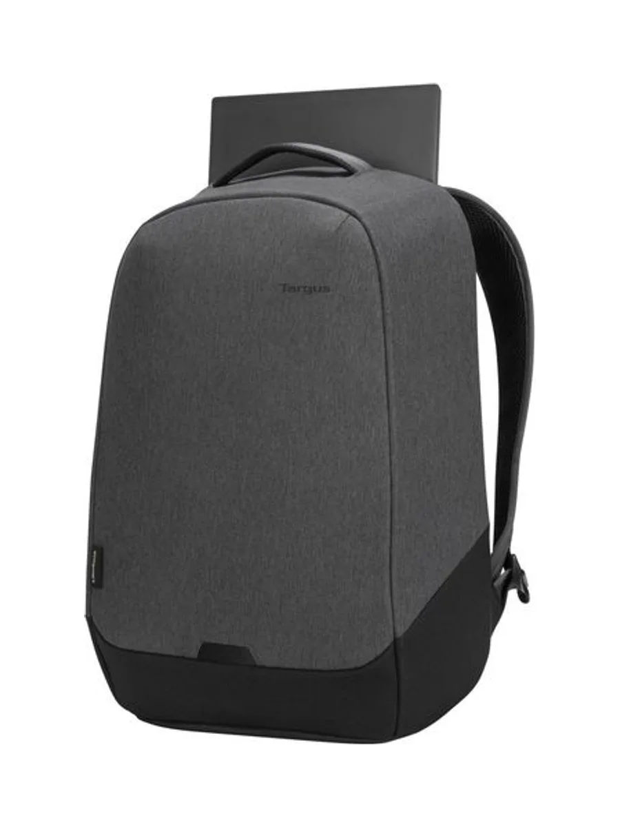 EcoSmart Cypress Security BP 10