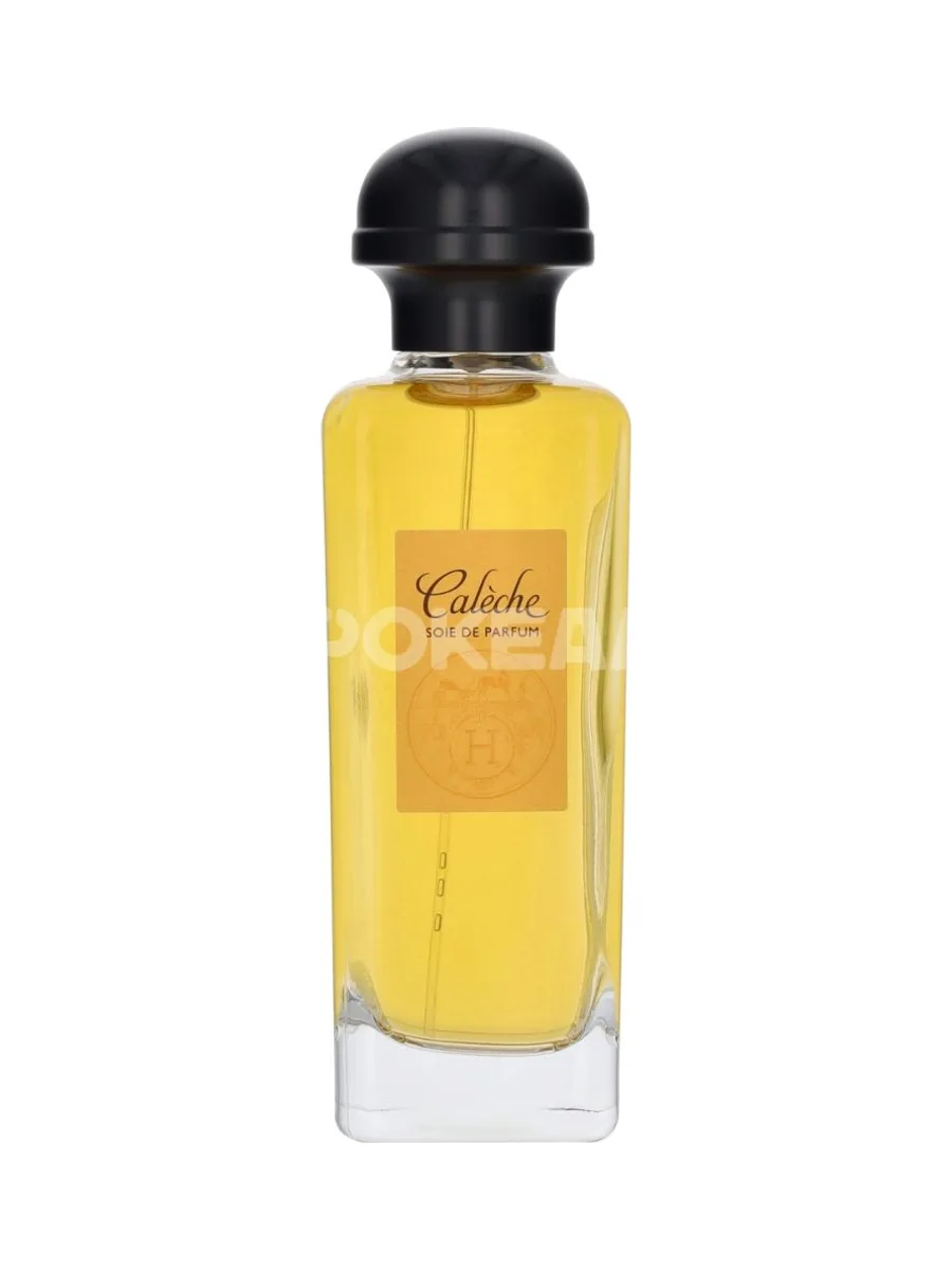 Hermes Caleche Soie De Parfum Edp Spray 100ml 2