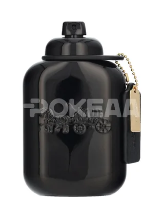 Coach For Men Edp Spray 100ml 2