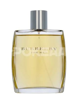 Burberry For Men Edt Spray 100ml 2