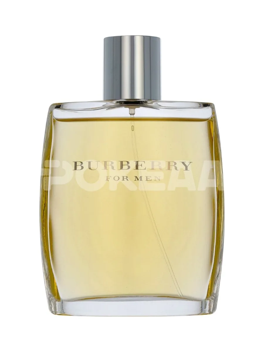 Burberry For Men Edt Spray 100ml 2